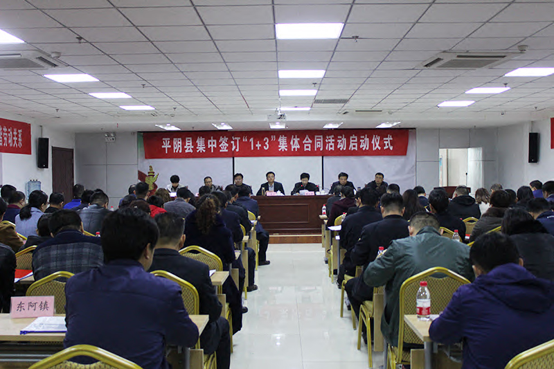 图片一.JPG
