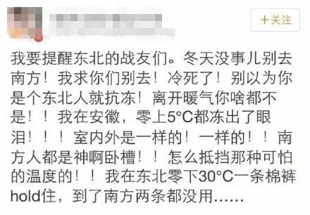 223.jpg 223.jpg