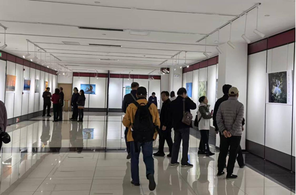 1763021728669376.png 图片5.png