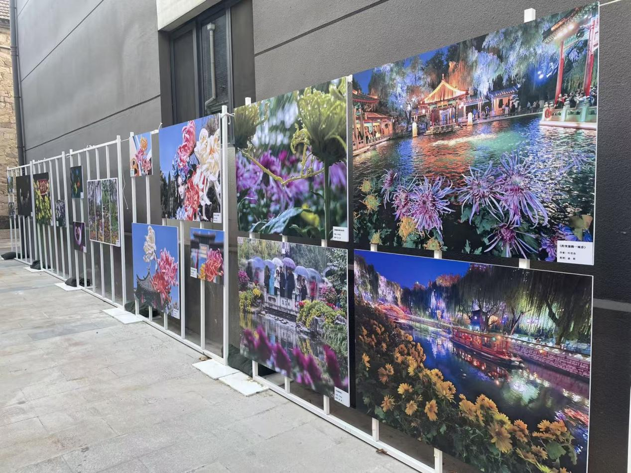 1765156402561531.png 1765156402561531.png