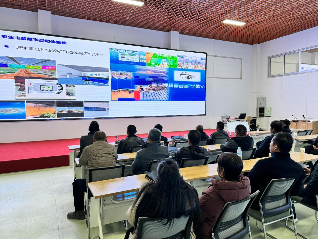 1765259320800298.png 1765259320800298.png