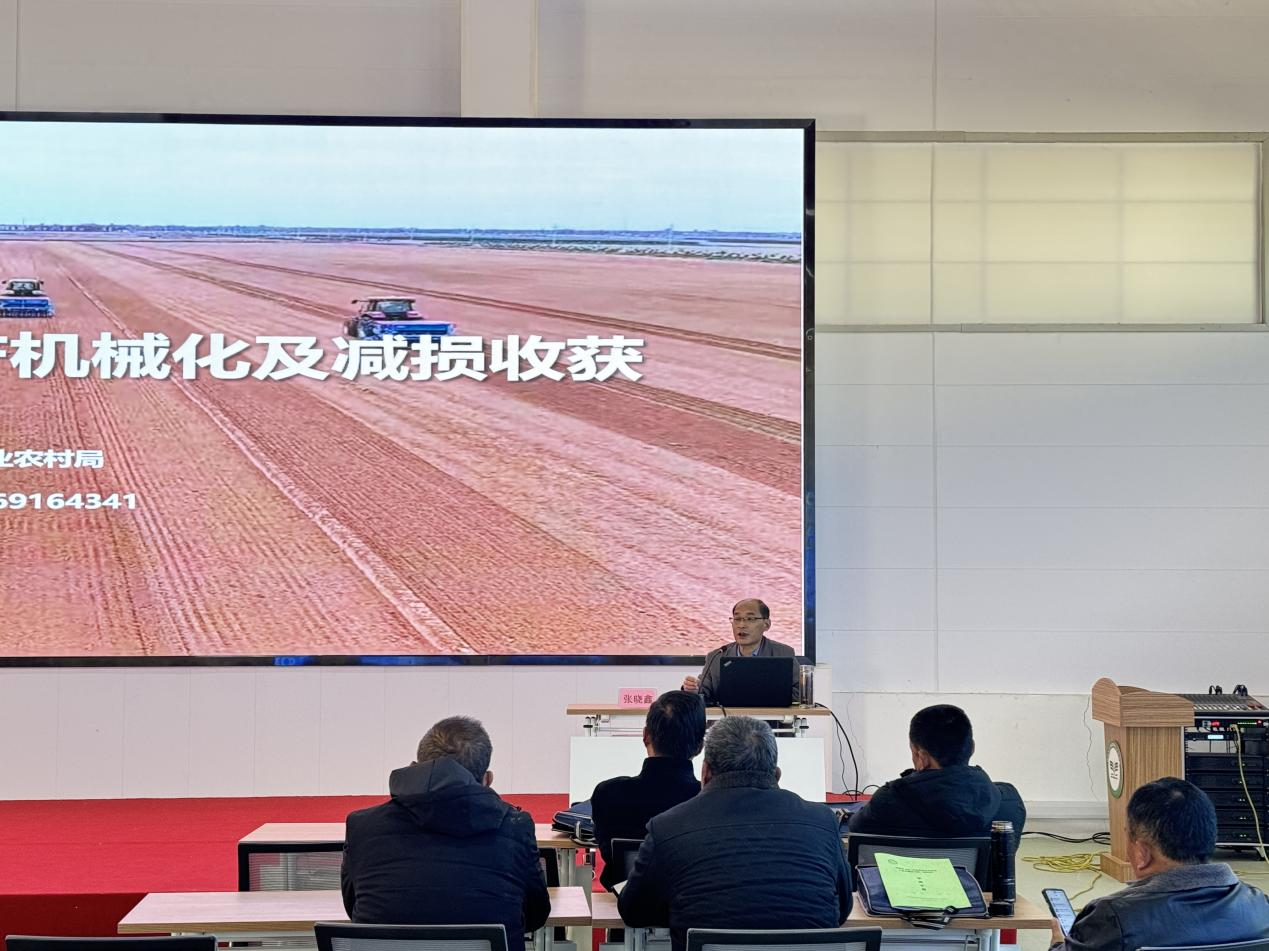 1765259326269264.png 1765259326269264.png