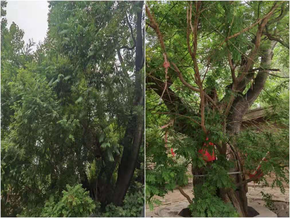 32783e6d5494b5346e61ccba9350d35c.jpg 32783e6d5494b5346e61ccba9350d35c.jpg