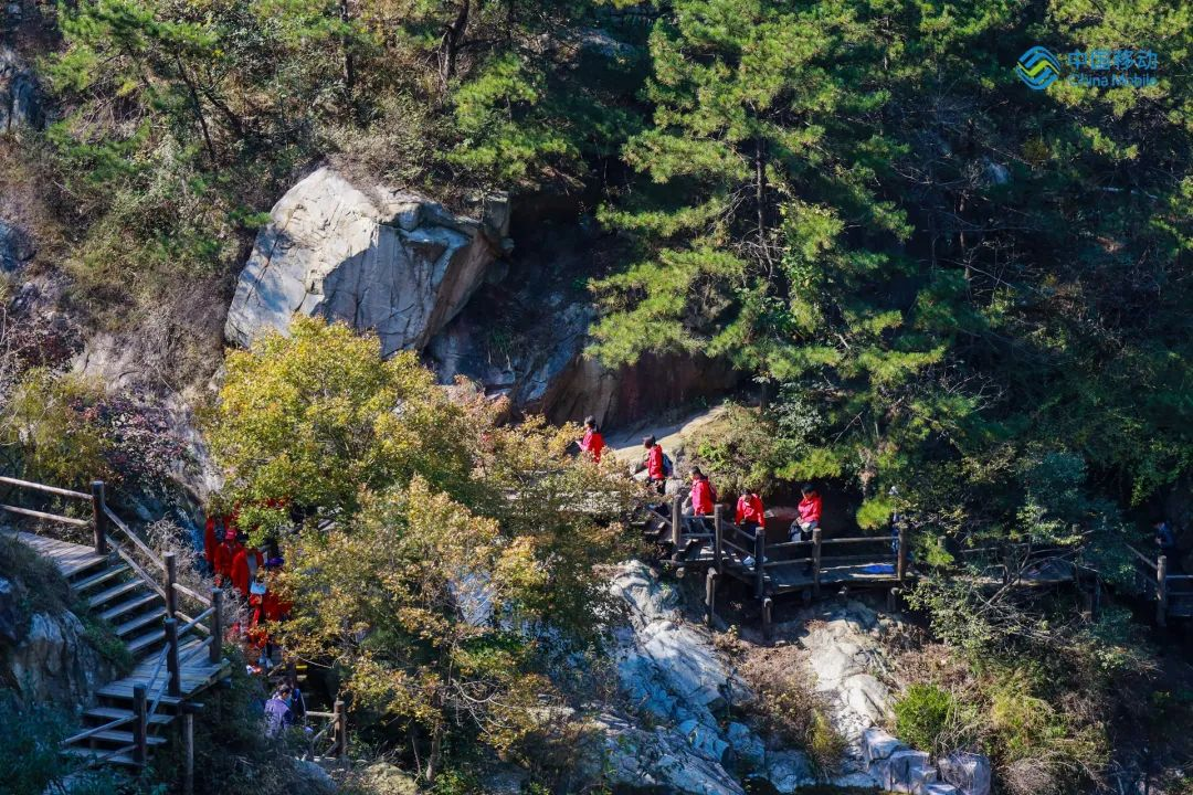 3a84f1431745dad840aa023c73925fb8.png 3a84f1431745dad840aa023c73925fb8.png