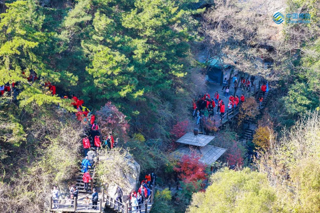 a57392e3663f6556094c0a31a77122a6.png a57392e3663f6556094c0a31a77122a6.png