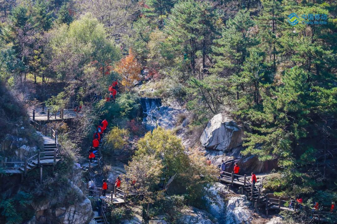 0e2e57d3c312c3c157f337a22a871932.png 0e2e57d3c312c3c157f337a22a871932.png