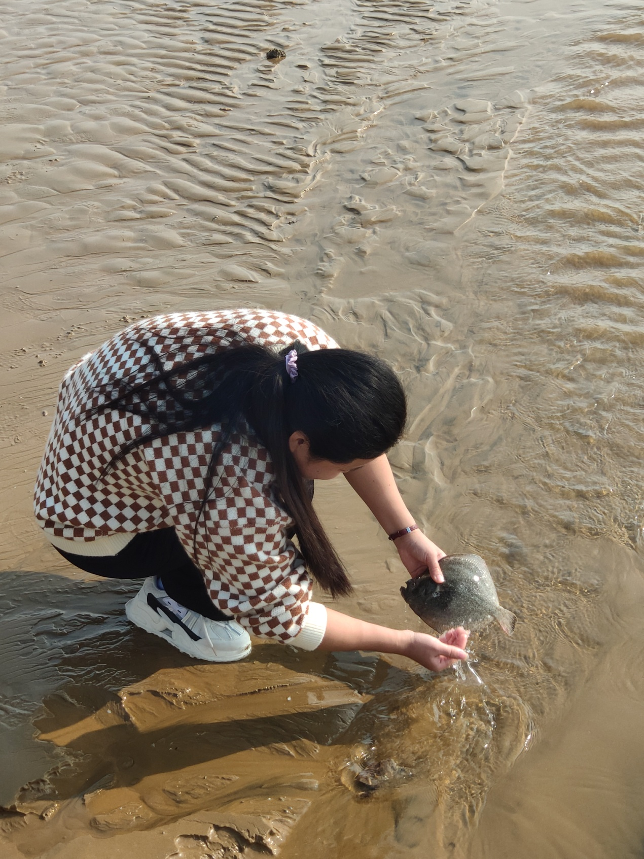 5b9197f41438a2b0be49e2ab316d4665.png 5b9197f41438a2b0be49e2ab316d4665.png