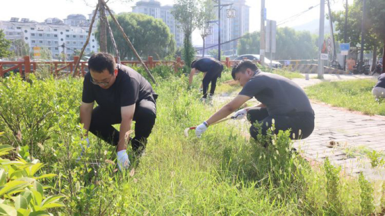 1662368540779560.png 1662368540779560.png