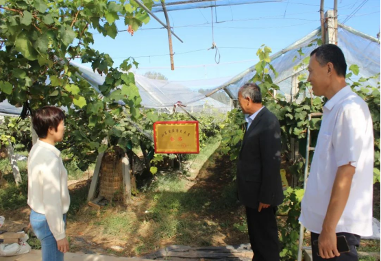 1664182583514647.png 1664182583514647.png