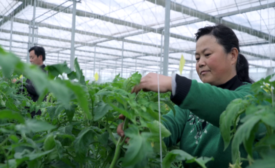 1664182892867244.png 1664182892867244.png