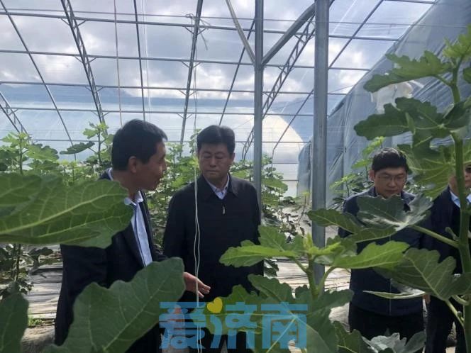 1691846568726930.jpg 1691846568726930.jpg