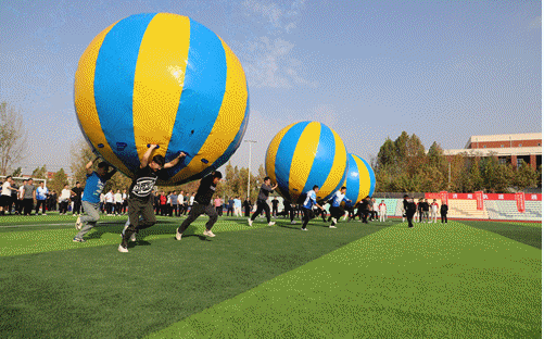 1699410019767981.png 1699410019767981.png