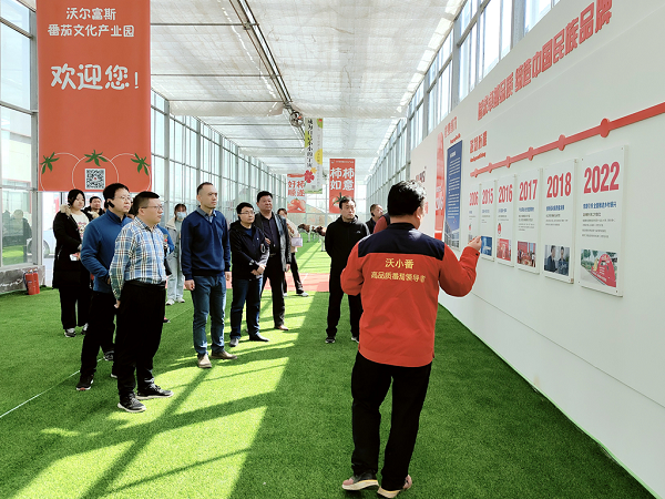 1710234328336939.png 图片25.png