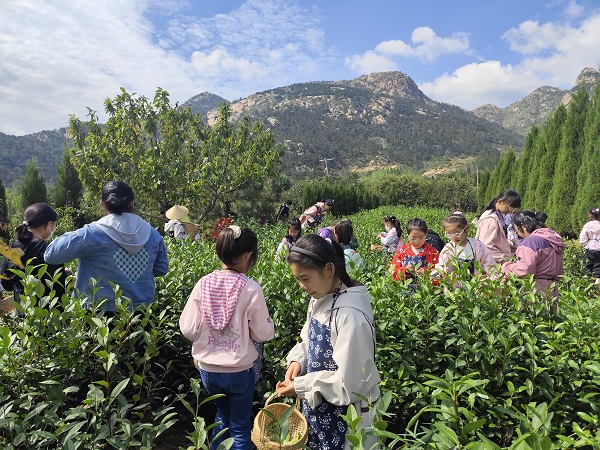 1727251704559802.jpg 7c8ec00e-abe8-4ff6-9304-d72b65324efd.jpg