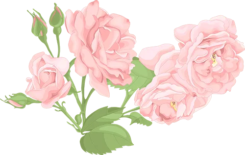 1733456700677829.png 193255f0fb62844a3f7ea8b569866d13_sz-163997.png