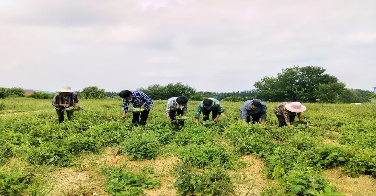 1760340086872270.jpg 图片1.jpg