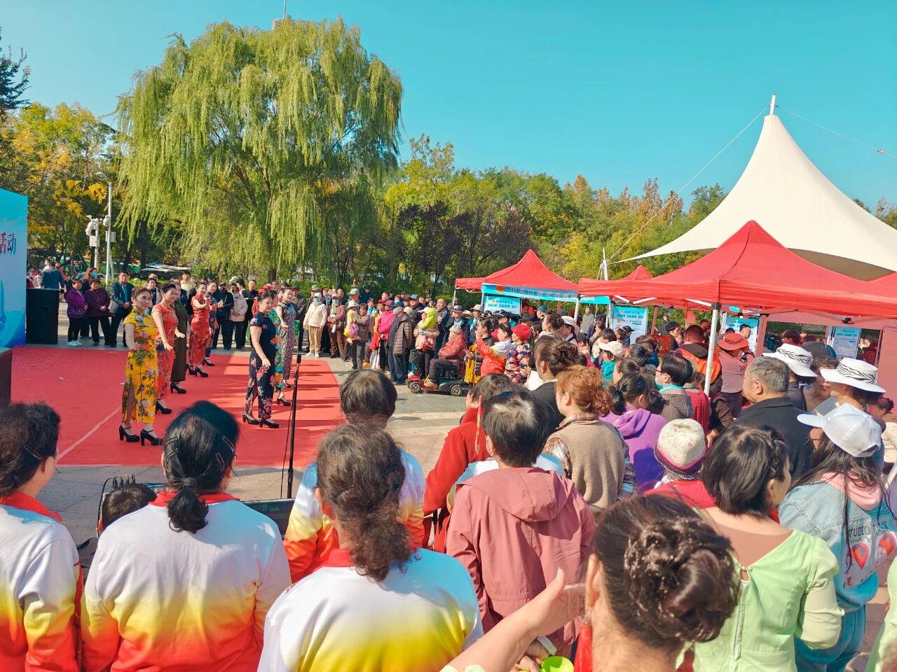 1761724336582390.jpg 10.jpg